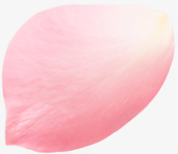 粉色花瓣装饰图案素材