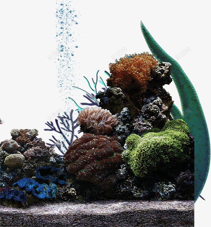 海底景色png免抠素材_新图网 https://ixintu.com 海底 海底景色 海底生物