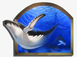 立体3D鲸鱼素材