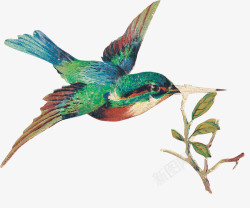 重阳节手绘卡通小鸟手绘彩色鸟高清图片