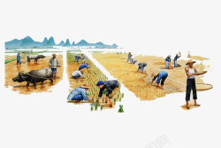 种植水稻插画水彩农田种植水稻的农民插画高清图片