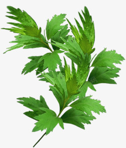 艾草糯米糍粑绿色艾草叶子高清图片