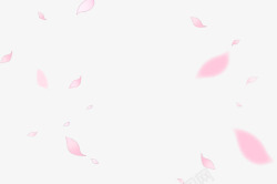粉色樱花和丝带飞舞的樱花瓣高清图片