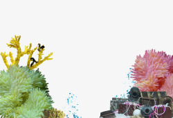 珊瑚珊瑚草宝物水泡素材
