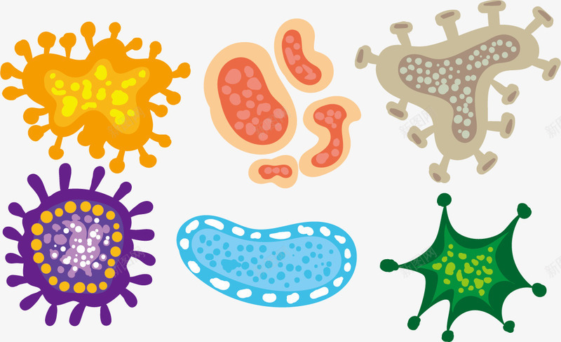 多细胞菌群png免抠素材_新图网 https://ixintu.com 多细胞 微生物 显微镜 真菌 细菌 群体 菌群
