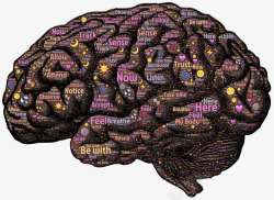 大脑回路素材