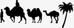 骆驼群开斋节黑色骆驼群高清图片