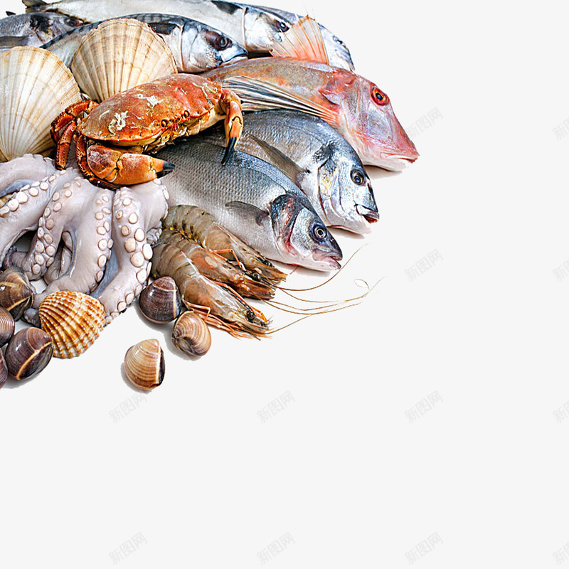 海鲜合集png免抠素材_新图网 https://ixintu.com 海鱼 海鲜大咖 海鲜大排档 虾 螃蟹 食物 鱿鱼