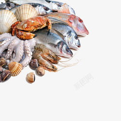 螃蟹png海鲜合集高清图片