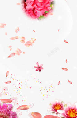 康乃馨背景装饰花瓣背景1高清图片