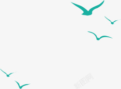 鸟的翅膀飞翔的海鸥高清图片