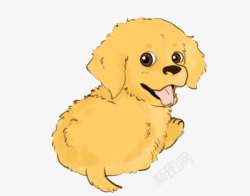 棕色毛发背对着的小黄狗高清图片