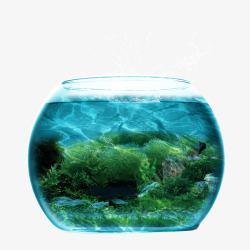 蓝色鱼缸海底世界金鱼缸高清图片