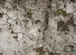 石头肌理石头纹理砂石岩石横切面素材