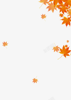 秋天秋天的红色枫叶高清图片
