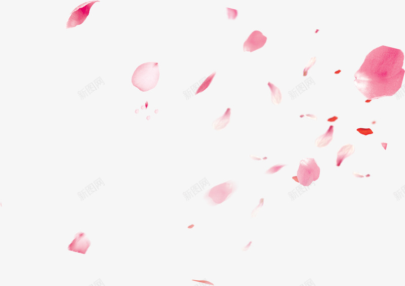 粉色情人节漂浮花瓣png免抠素材_新图网 https://ixintu.com 一朵朵 婚庆 婚礼 完结撒花 情人节 洒落花瓣 浪漫 爱情 玫瑰花瓣 花朵 花瓣 花瓣掉落 花飘落