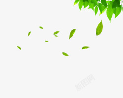 漂浮树叶背景图素材