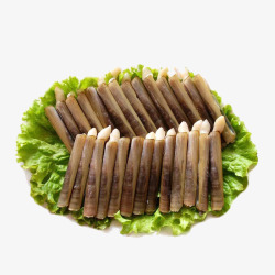 蛏子实物素材