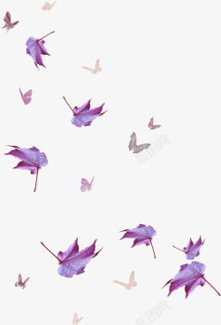 树叶在风中飞舞手绘紫色枫叶蝴蝶飞舞高清图片
