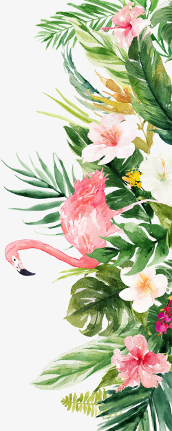 动物植物手绘夏日火烈鸟装饰图高清图片