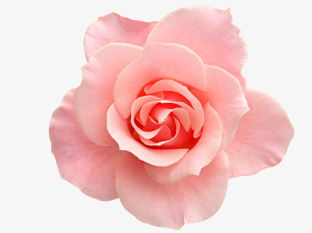 ɫõ廨ֲﻨpngز_ͼ hts://iintu.