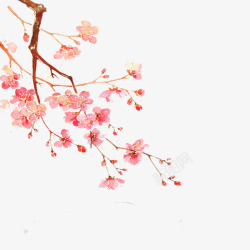 玫瑰花背景粉色梅花水墨高清图片