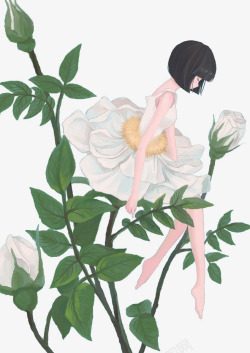 刺菊手绘白玫瑰高清图片
