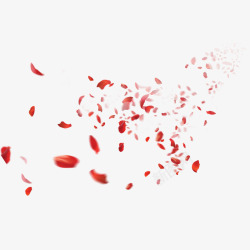 活动花瓣玫瑰红色花瓣漂浮高清图片