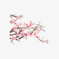 淡粉色花朵h5水彩粉色桃花元素高清图片