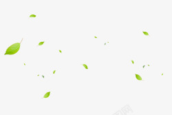 飘飞绿色散状飘飞的树叶高清图片