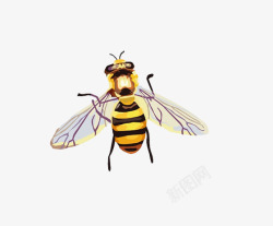 单只蜜蜂图片简单的蜜蜂高清图片