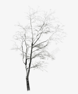 冬季冬天白雪覆盖的树枝高清图片