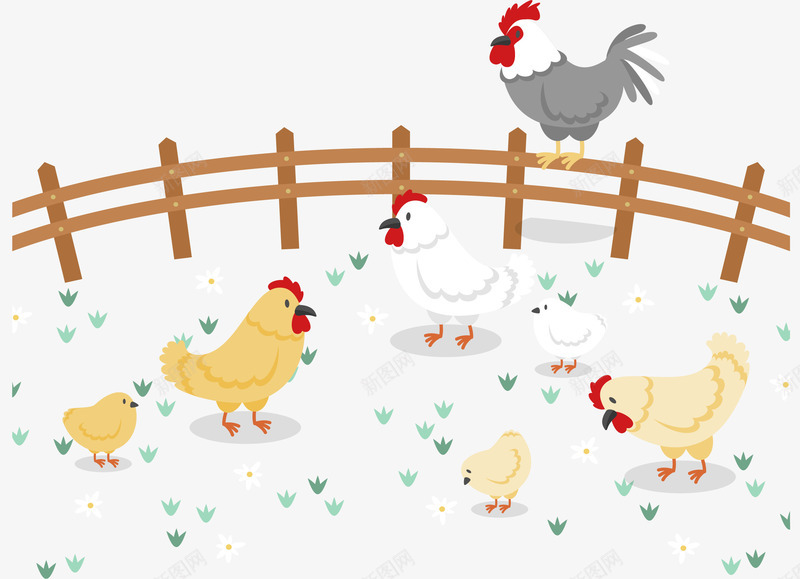 站在栅栏上的大公鸡png免抠素材_新图网 https://ixintu.com 养鸡场 大公鸡 小鸡吃米图 小黄鸡