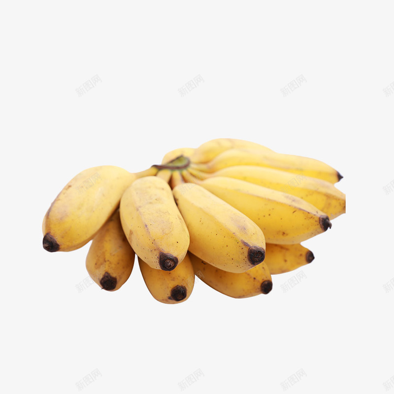 一串黄色的小米蕉实物png免抠素材_新图网 https://ixintu.com 亚热带 健康 小米蕉 广告 淘宝 电商 美味 饮食 香蕉