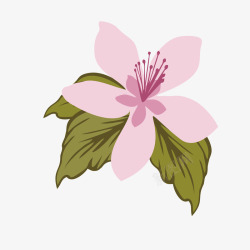 粉色花蕊花瓣绽放的杜鹃花瓣矢量图素材