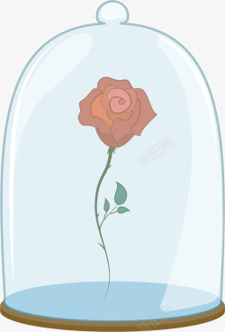永生玫瑰音乐盒玻璃罩里的玫瑰花高清图片