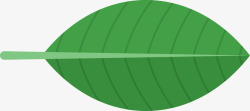 卡通热带植物棕榈叶素材