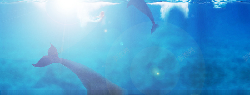 创意摄影海底世界鲸鱼png免抠素材_新图网 https://ixintu.com 世界 创意 摄影 海底 鲸鱼