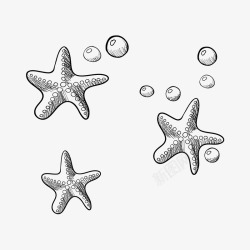 海底泡泡手绘海星泡泡高清图片