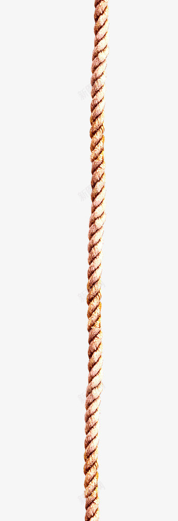 一根金色长绳png免抠素材_新图网 https://ixintu.com 两股绳 产品实物 绳子 绳索 装饰 金色