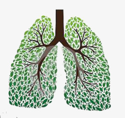 绿树肺形手绘绿肺高清图片