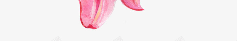 手绘彩色粉色小花png免抠素材_新图网 https://ixintu.com 创意图 可爱 小花 彩色图 手绘图 简单的