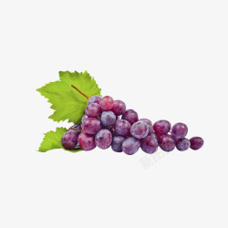 酵素广告紫色葡萄新鲜水果高清图片