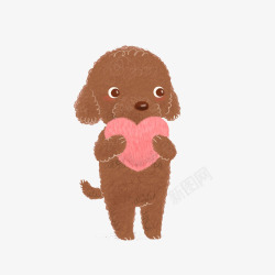 卷毛狗抱着爱心的泰迪狗高清图片