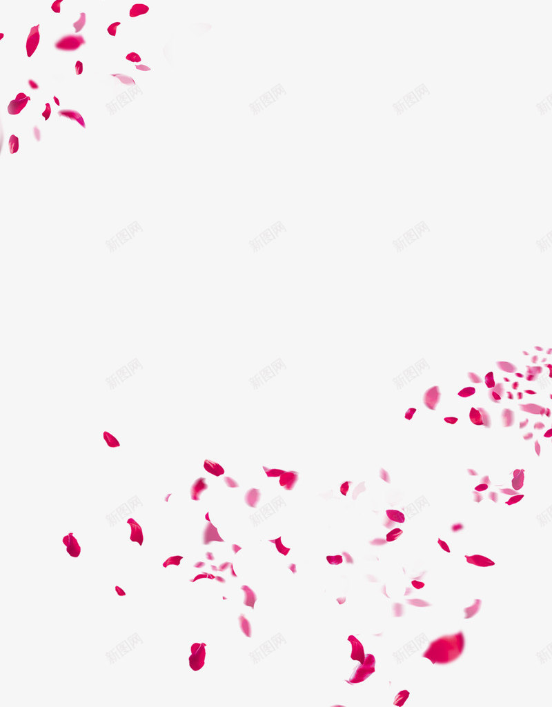创意合成红色的飞起的玫瑰花花瓣png免抠素材_新图网 https://ixintu.com 创意 合成 玫瑰花 红色 花瓣