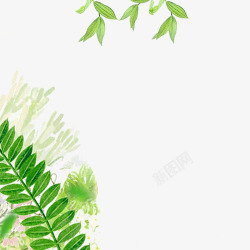 简约花鸟手绘水彩绿色花卉植物元素高清图片