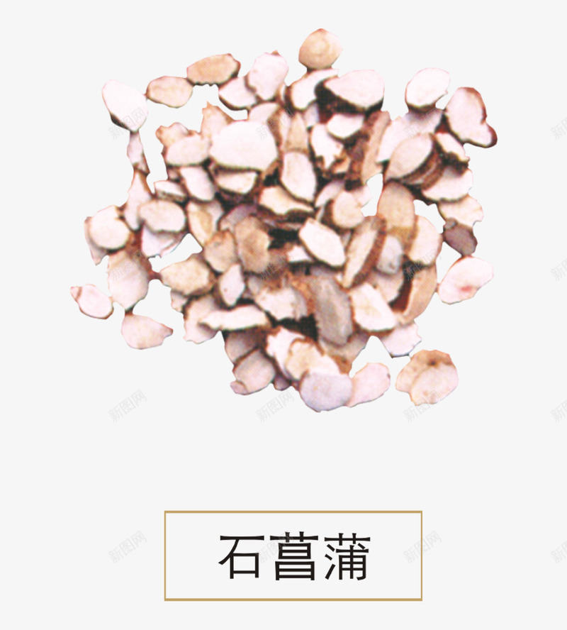 石菖蒲png免抠素材_新图网 https://ixintu.com 中草药 中药 中药饮片 草药