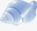 海底生物海螺素材