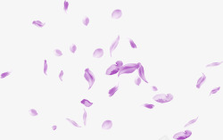 不同形状的花瓣紫色的花瓣合成形状高清图片