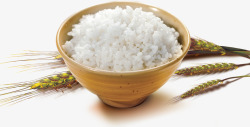 香喷喷的米饭一碗米饭高清图片
